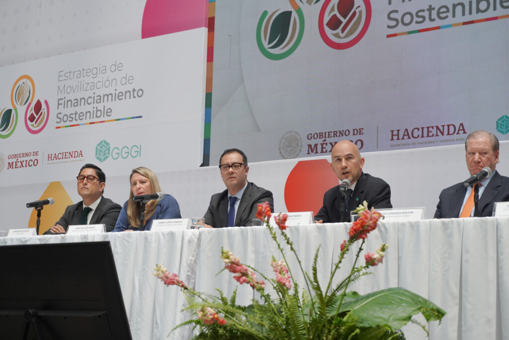 Sustainable Financing Mobilization Strategy of Mexico