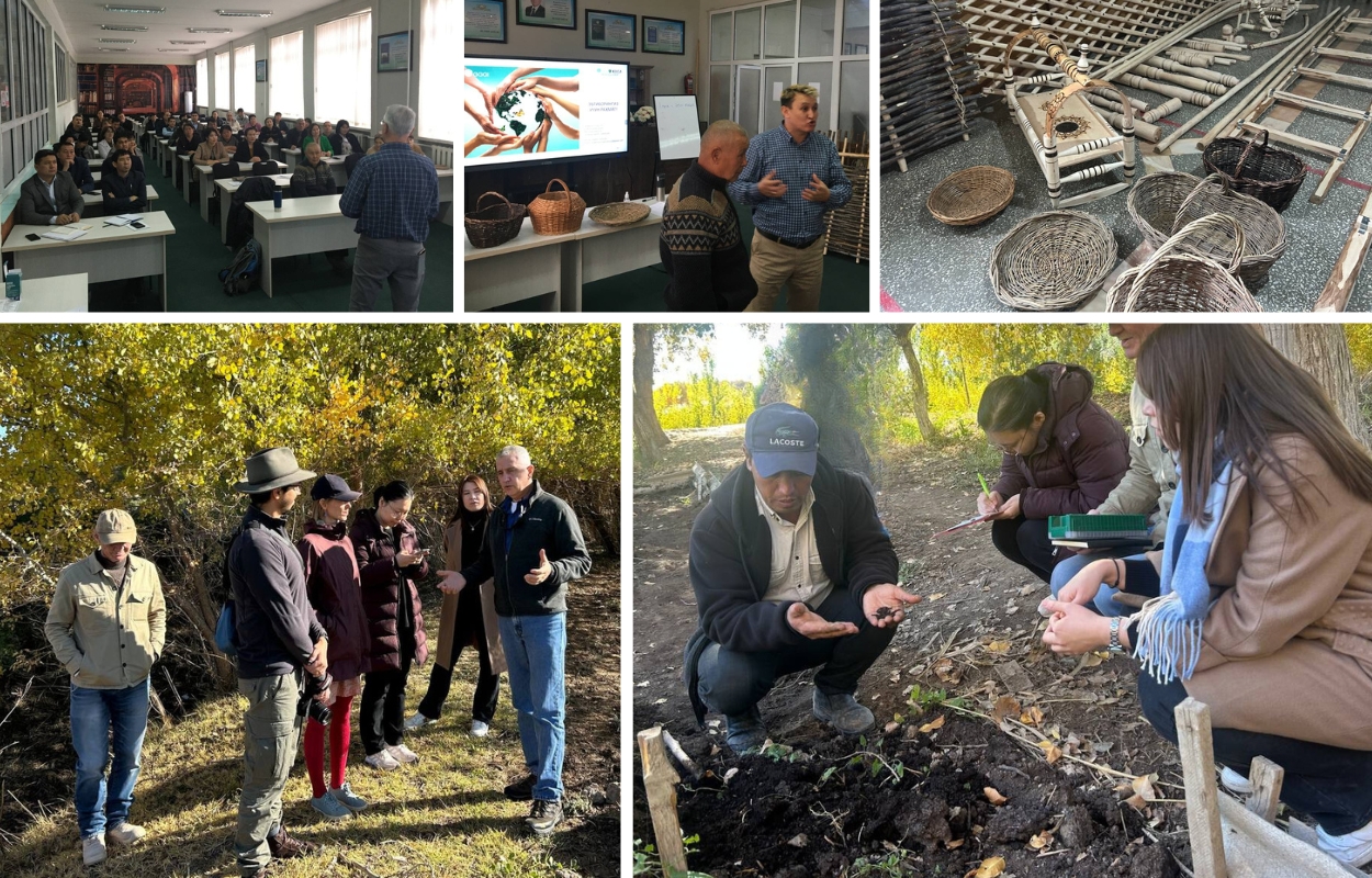 Capacity building trainings: 1) Participants receiving a lecture in a classroom, 2) expert conducting lecture on Karatal trees, 3) wooden items made of Karatal trees, 4) GGGI Uzbekistan team visiting tree nursery training sites, 5) tree nursery expert discussing soil properties 